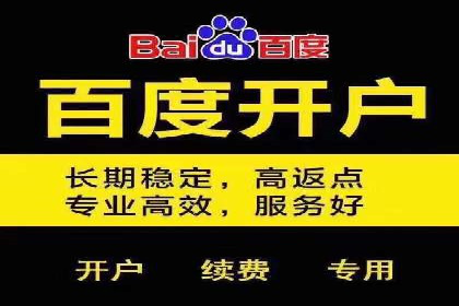 百度推广代运营案例：案例分享：传统行业逆袭之路